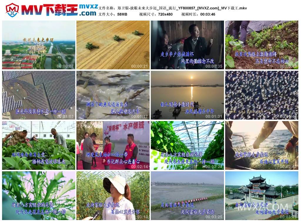 郑卫银-放眼未来大步迈_国语_流行_YF800857
